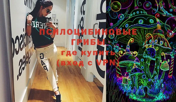 ECSTASY Абаза
