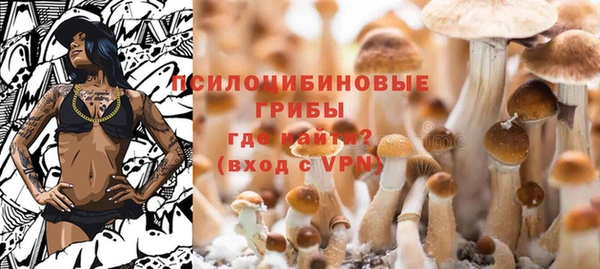 шишки Абдулино