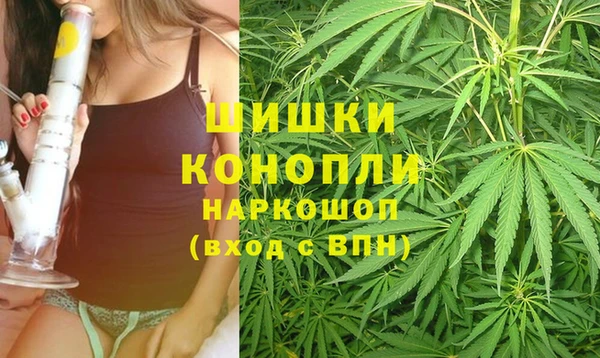 ECSTASY Абаза