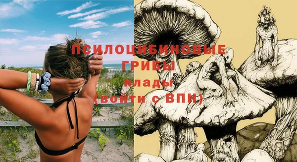 шишки Абдулино
