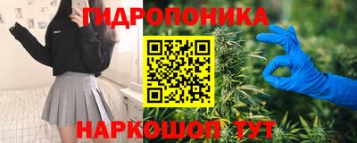 молекула духа Краснодар