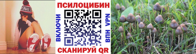 наркота Карталы Псилоцибиновые грибы мухоморы