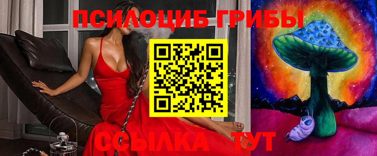 Карталы  закладка  Вход с VPN  Псилоцибиновые грибы Psilocybine cubensis  Псилоцибиновые грибы Psilocybe 