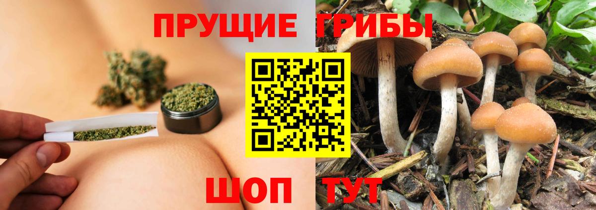 Галлюциногенные грибы прущие грибы Карталы